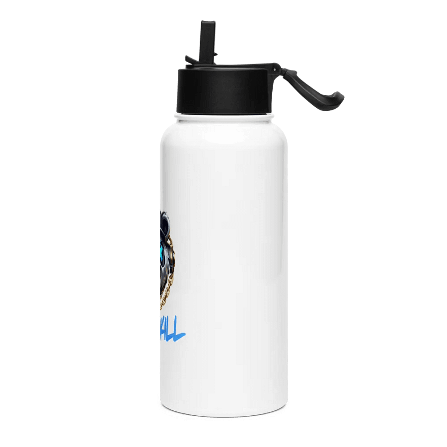 Jinstakill Stainless Steel Bottle with a Straw Lid product image (3)