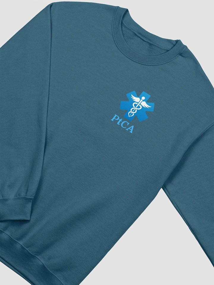 PtCA Values Crewneck product image (2)