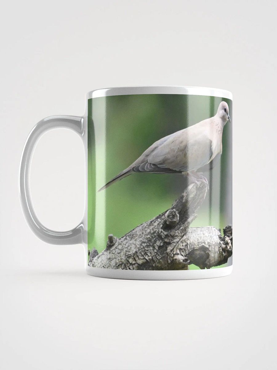 IUCAA Birds MUG product image (6)