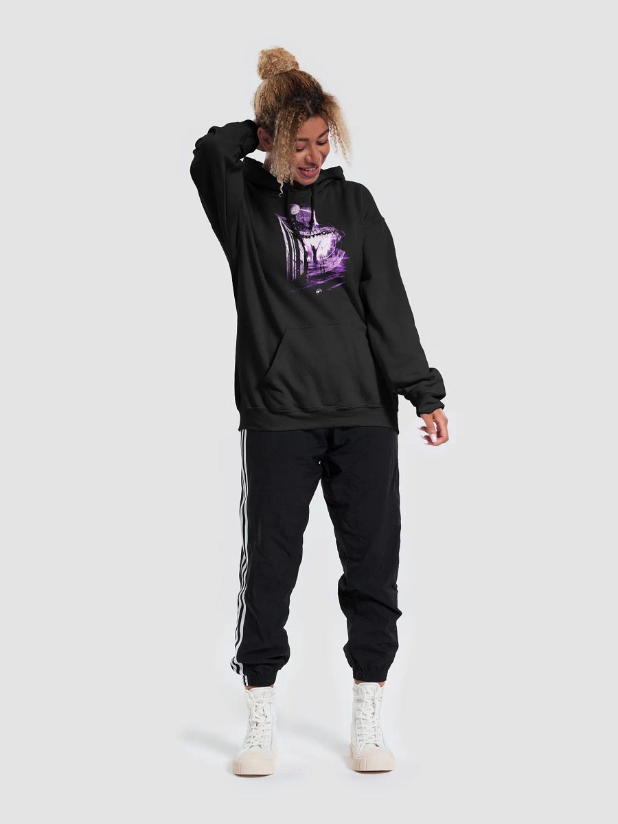 Fight Entropy unisex hoodie product image (5)