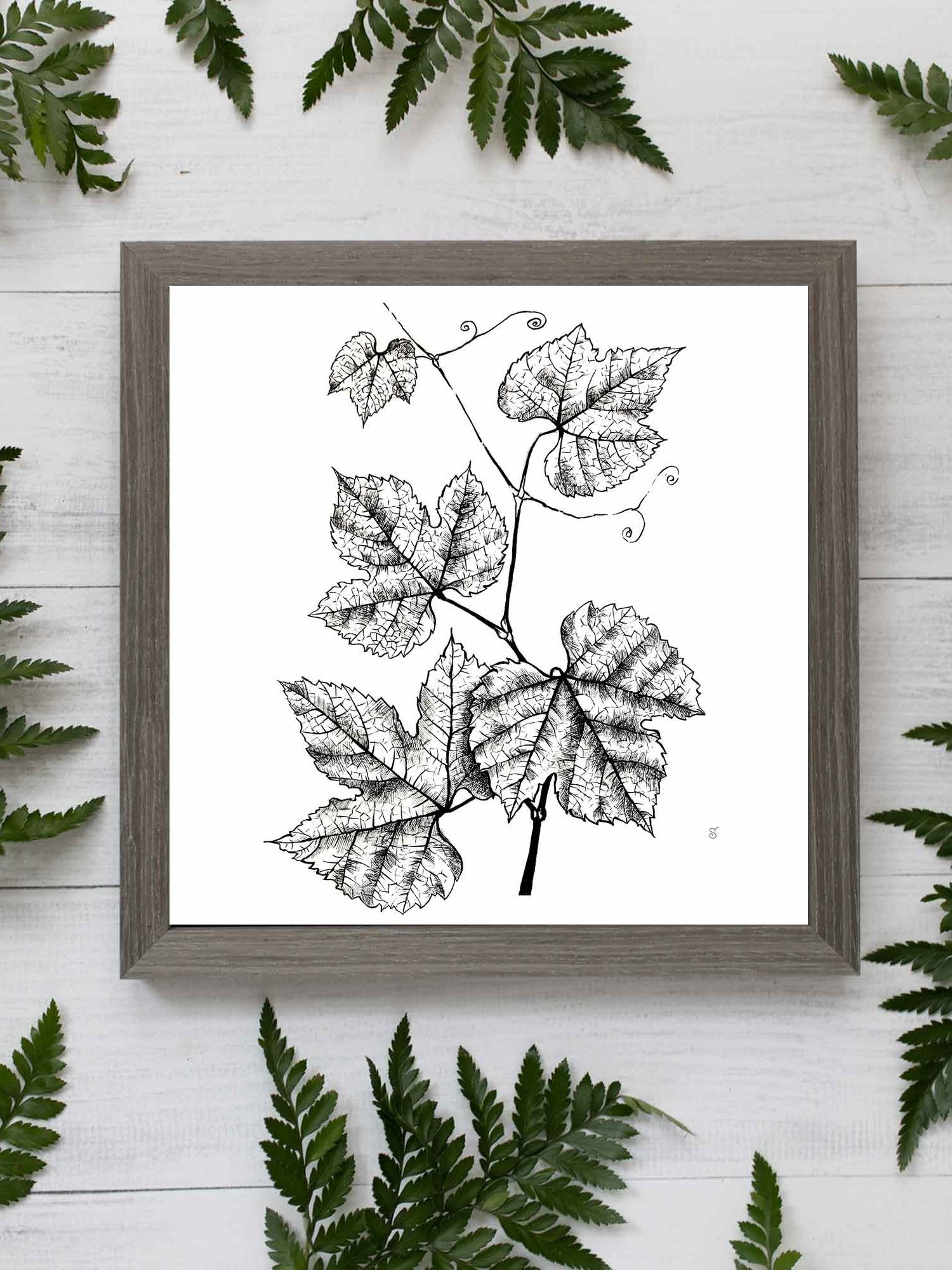 Botanical Bliss Canvas Art - Grape Leaves product image (7)