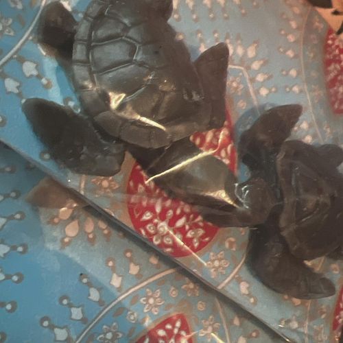 the #wax #turtles kiss 🐢