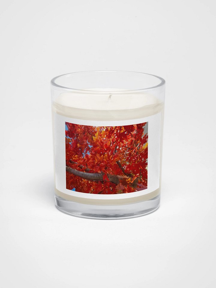 Autumn Bliss Soy Wax Candle product image (1)