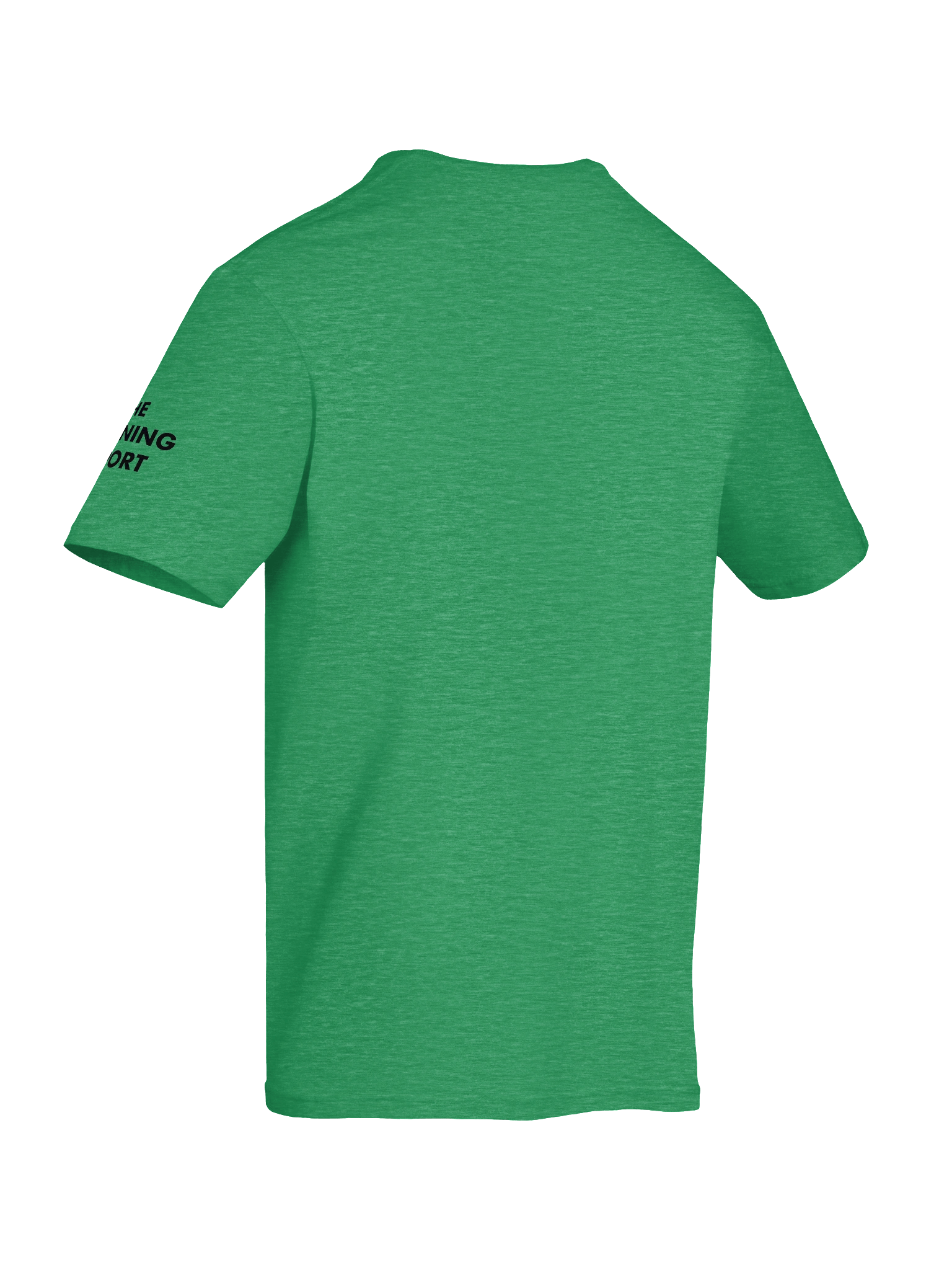 FreeDC Summer Protest Flag T Shirt product image (12)
