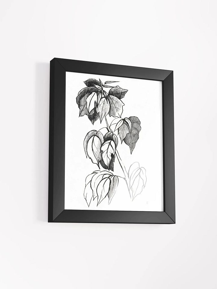 Botanical Sketch Framed Matte Poster - Stylish Graphical Twig product image (5)