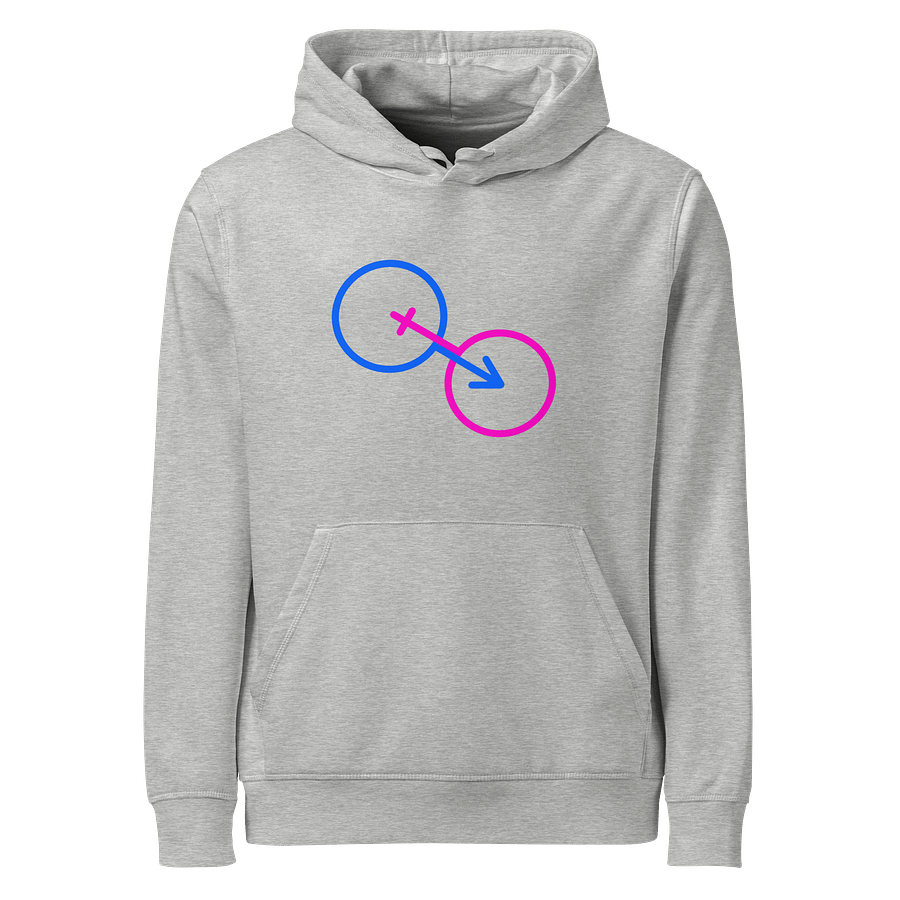 Straight Gender Harmony Organic Hoodie product image (1)