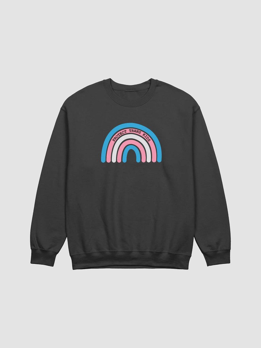 Protect Trans Kids Crewneck product image (7)