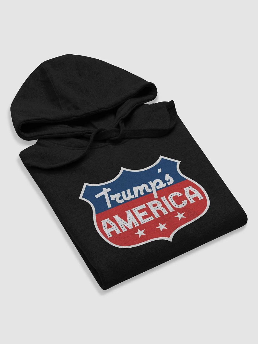 Trump's America - Premium Hoodie product image (3)