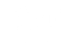 Suvi