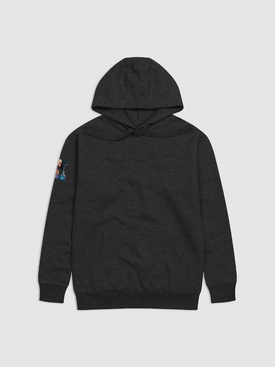 Hoodie product image (1)
