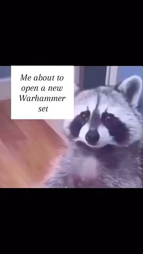 That feeling doesnt go away #warhammer #wh40k #aos #dnd #wargaming #tabletop #warhammermeme #funny #warhammercommunity #hobby...
