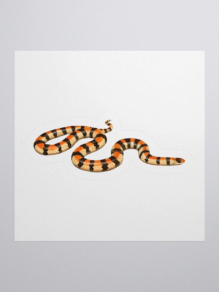 Die-Cut Sticker – Western Groundsnake (Banded) product image (1)