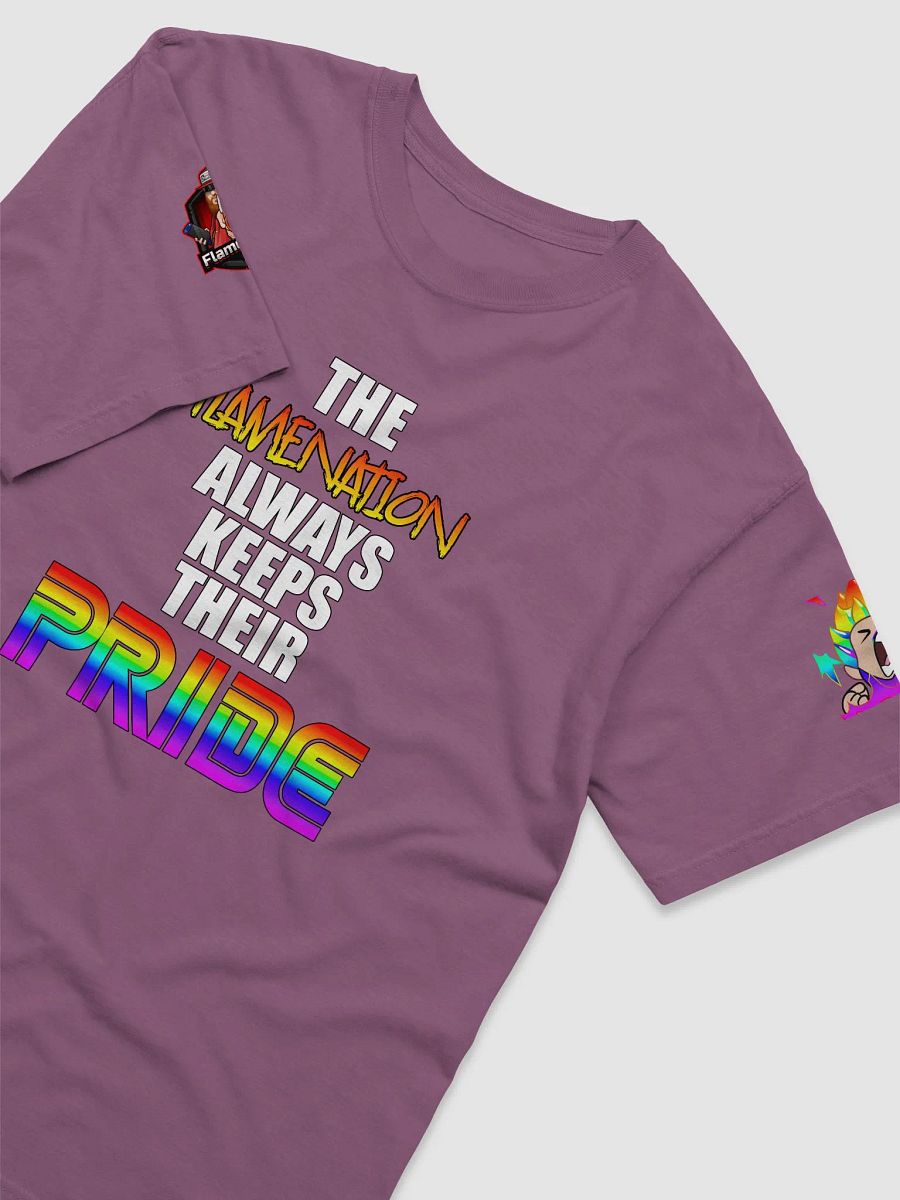 FlameNation PRIDE T-Shirt product image (3)
