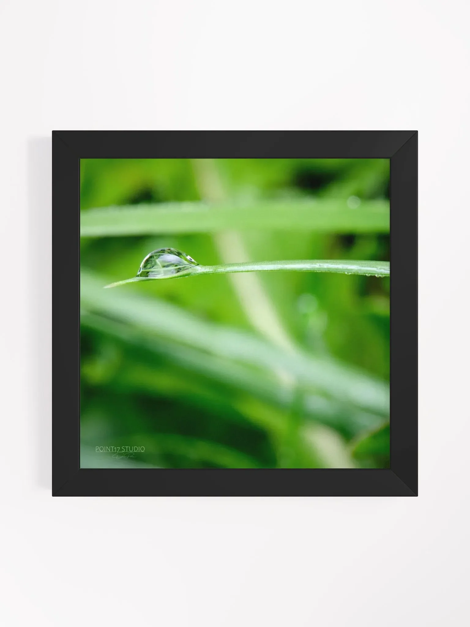 Dew Gems #10 - Framed Print product image (1)