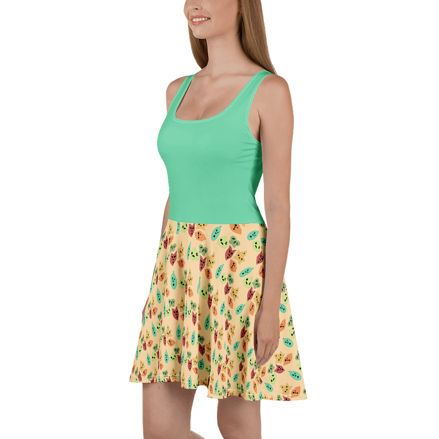 Korok Skater Dress product image (1)