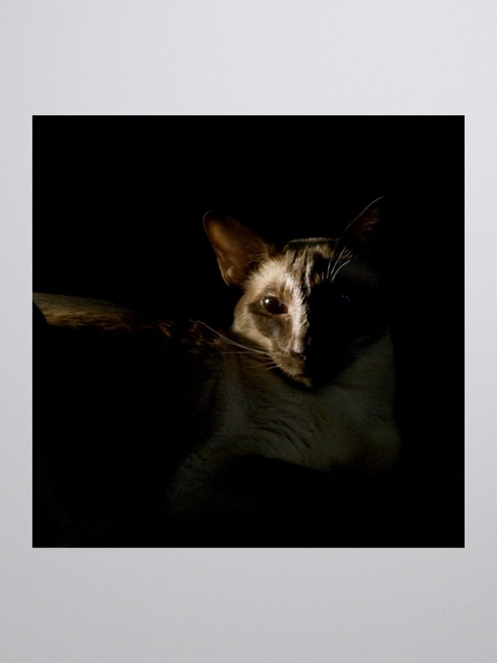 Shadow Siamese Sticker product image (1)
