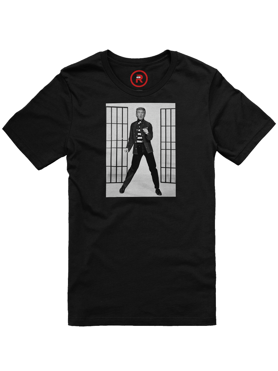 Trump House Rock product image (5)