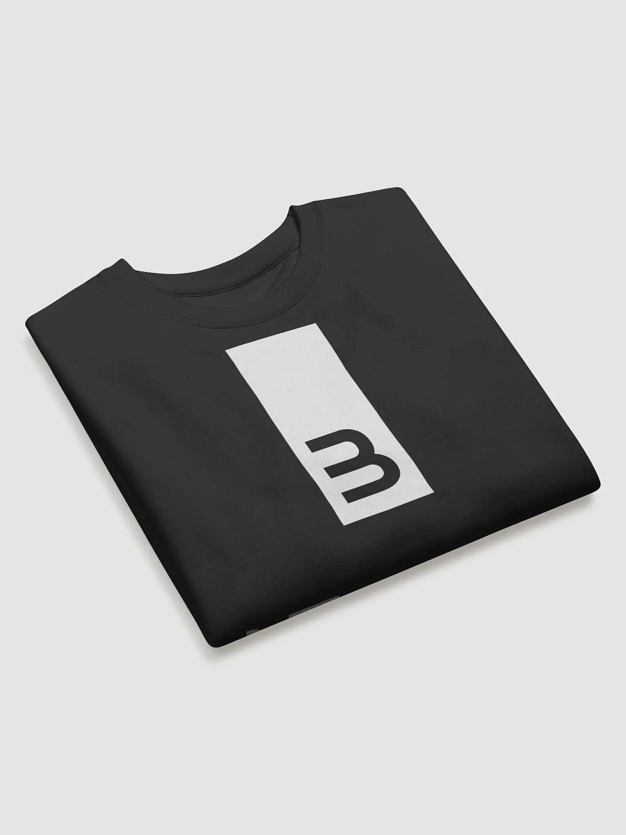 Behind The Story Logo - Black Sweatshirt product image (4)