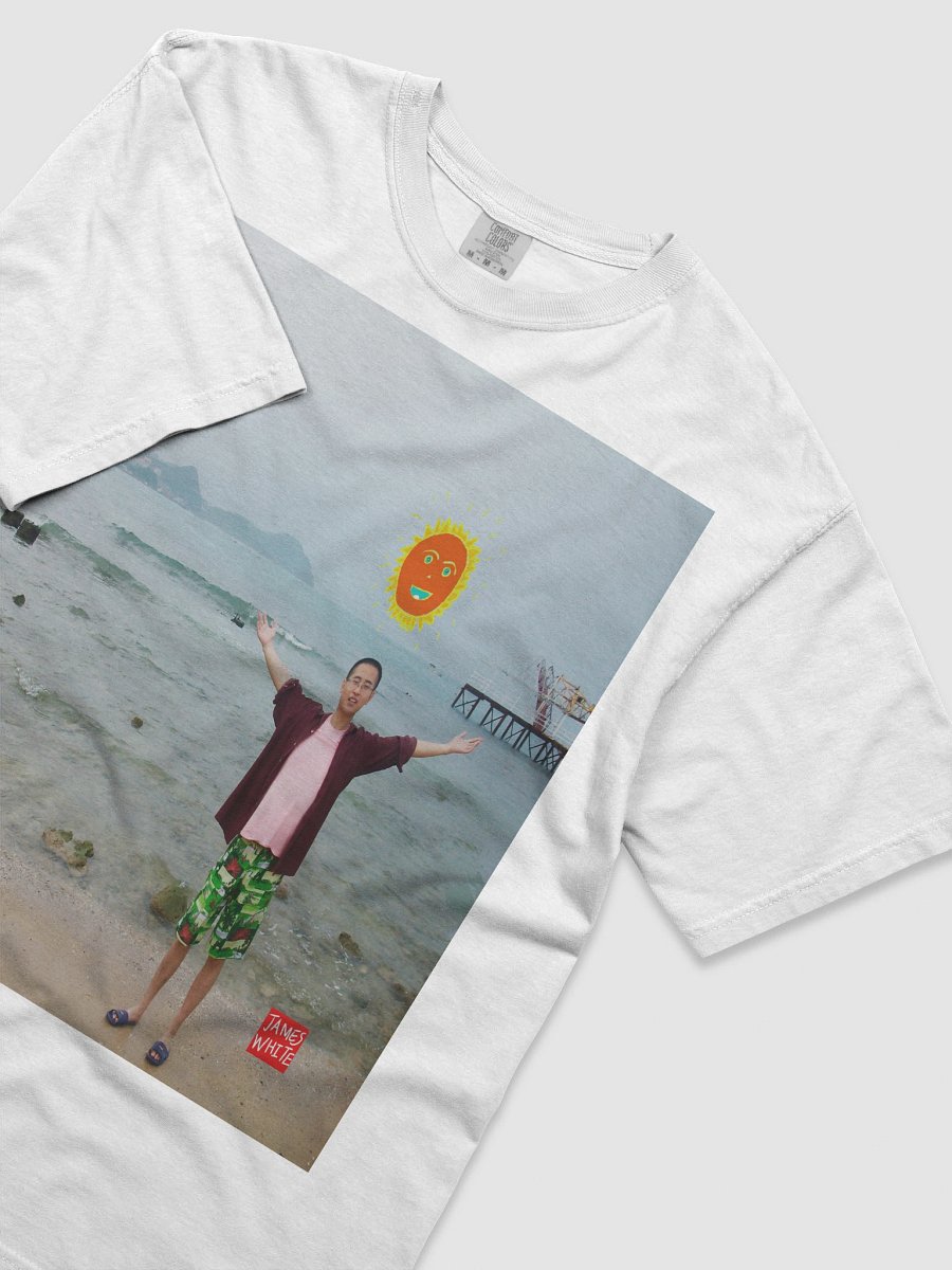 Comfort Colors Garment-Dyed Heavyweight T-Shirt:travel product image (5)