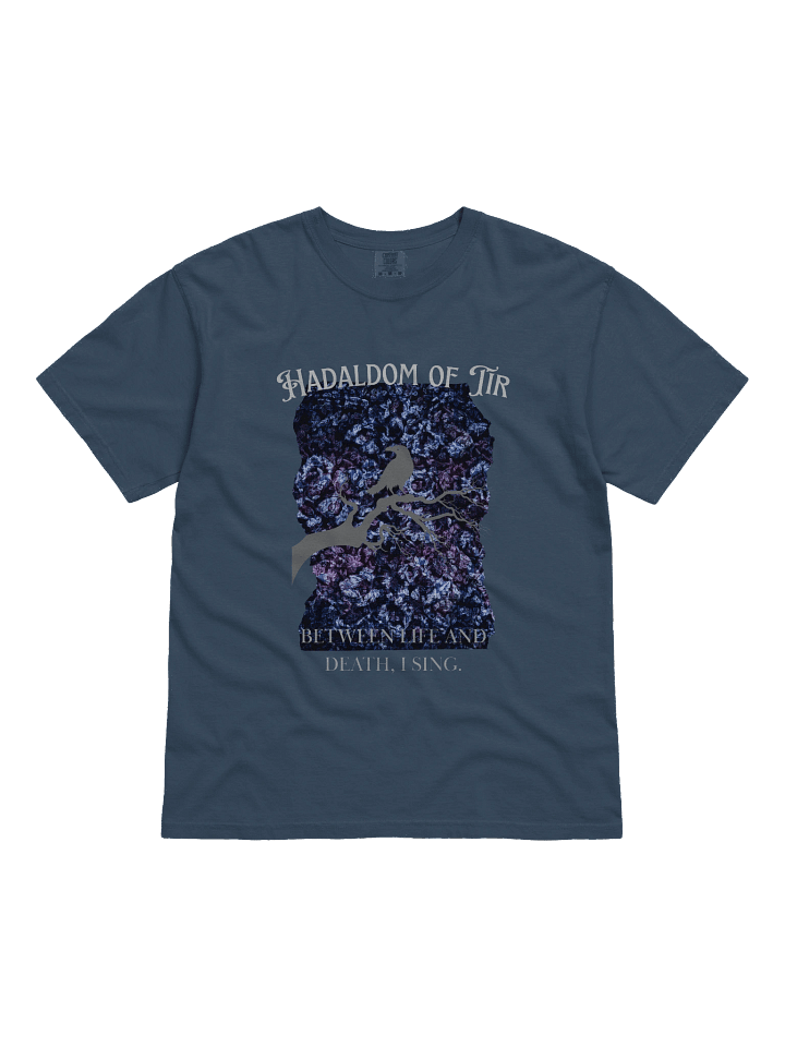 Mystic Raven Comfort Tee product image (3)