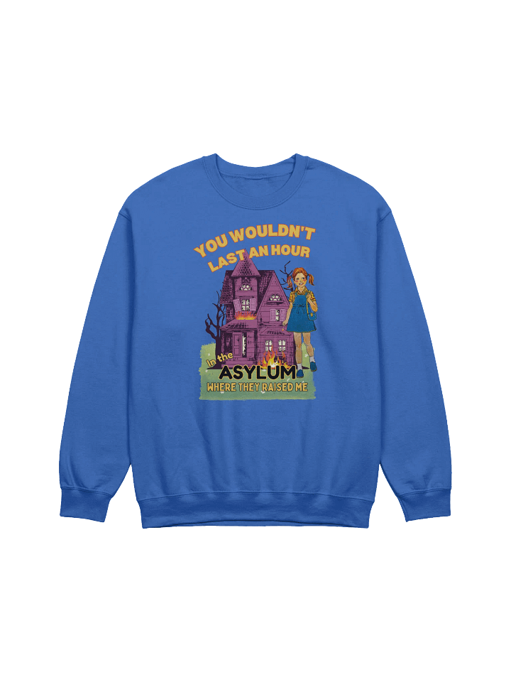 You Would't Last An Hour In The Asylum They Raised Me Sweatshirt product image (44)