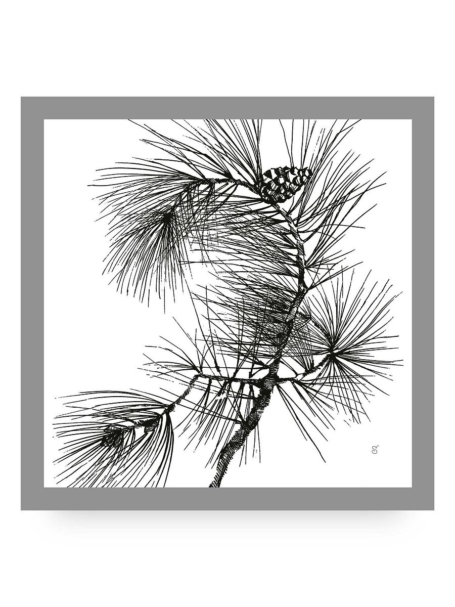 Blank Canvas Collection - Pine Branch product image (99)