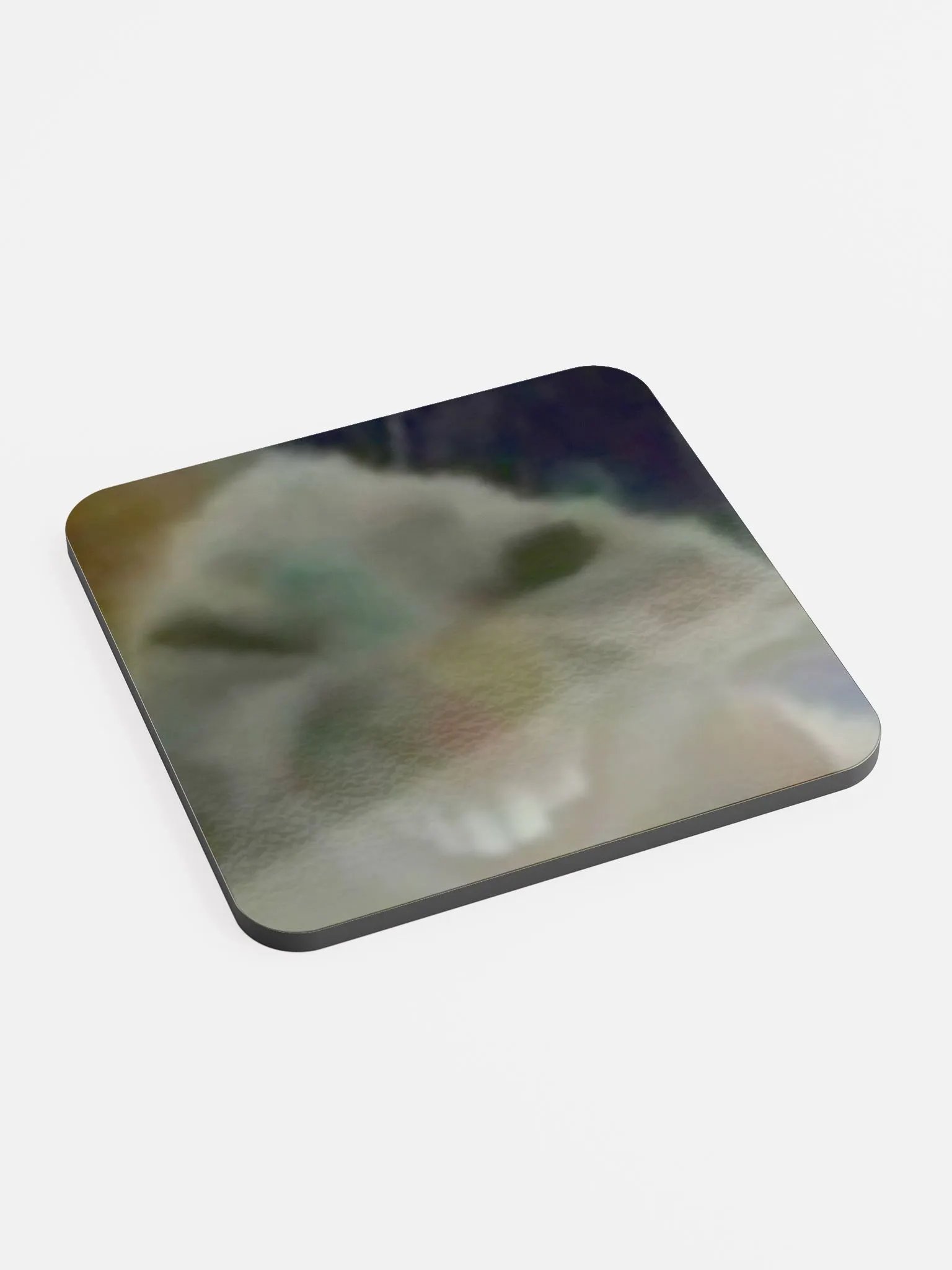 XDX COASTER product image (2)