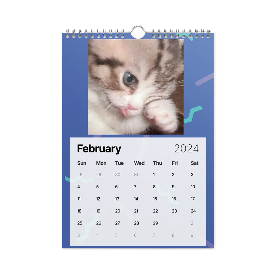 Wall Calendar (2024): Meme Cats product image (7)