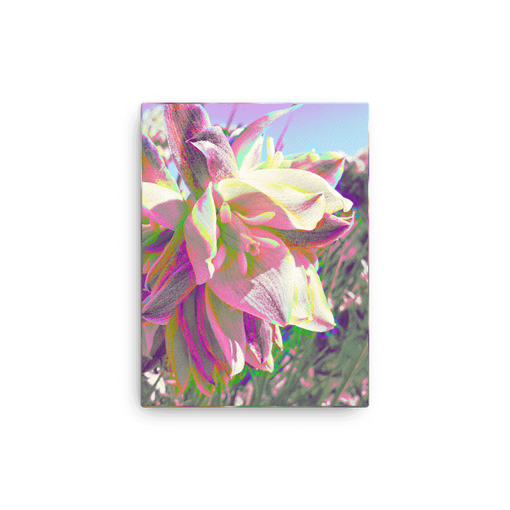 Highlighter Yucca product image (5)