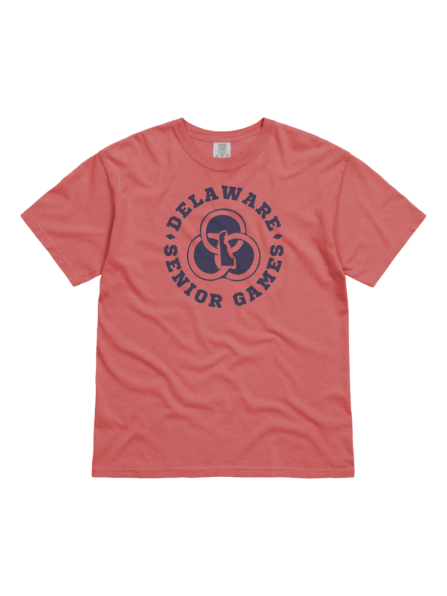 DSG T-shirt product image (2)