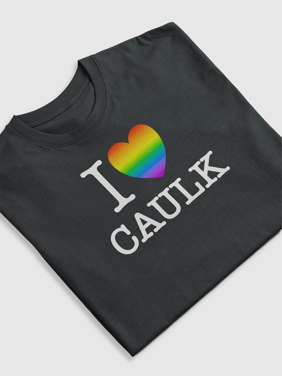 I LOVE CAULK Rainbow / Dark Heavyweight Tee product image (3)