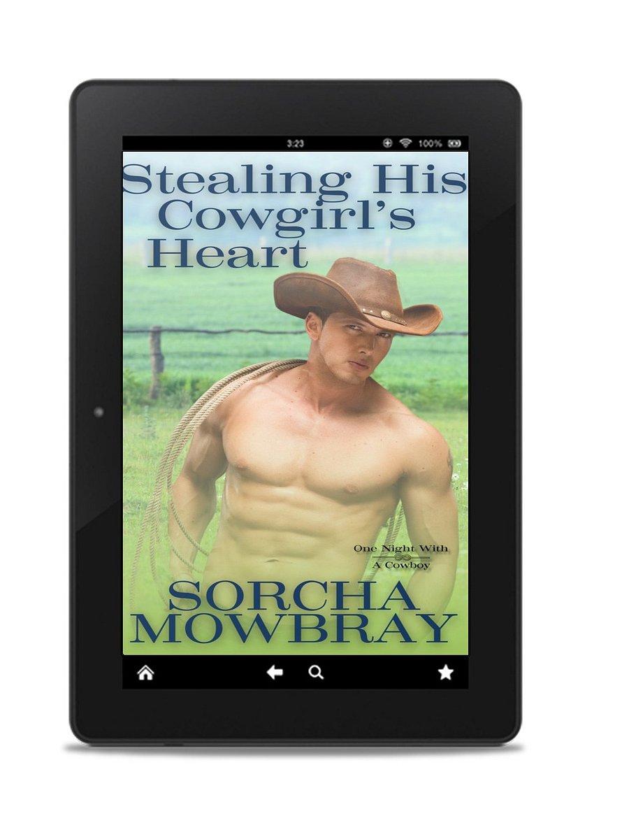 Stealing His Cowgirl's Heart (One Night With A Cowboy, Book 5) product image (1)
