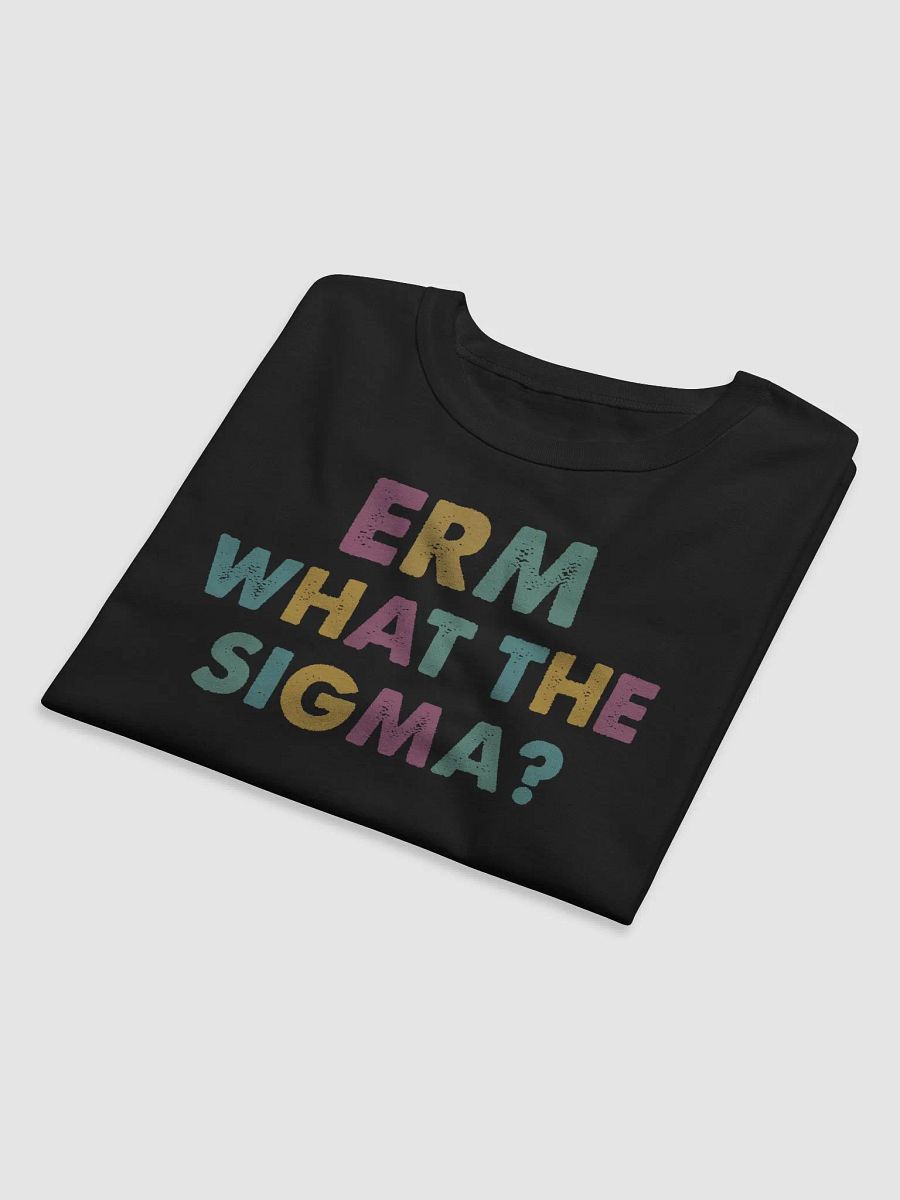 Erm, What the Sigma? - Funny T-Shirt product image (22)