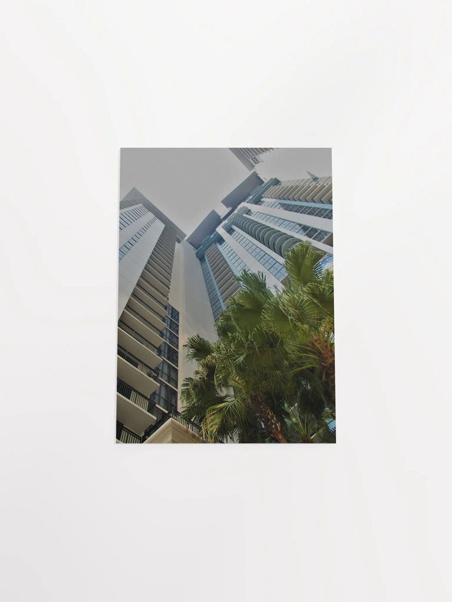 Downtown Orlando 5 product image (45)