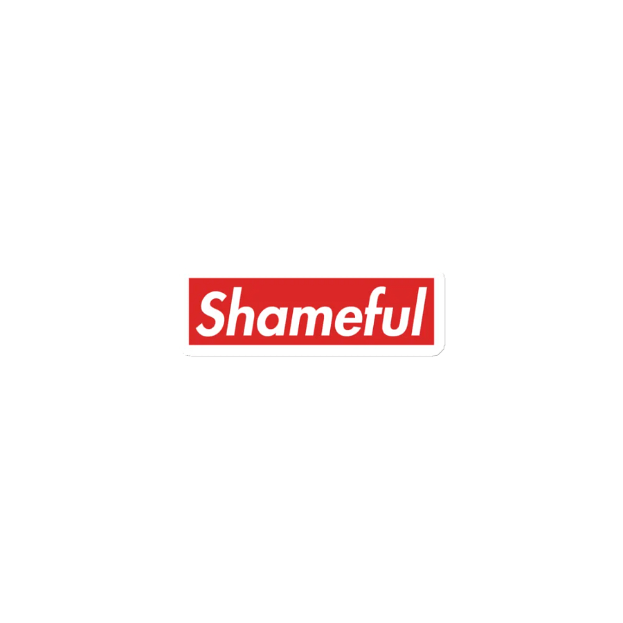 Shameful Magnet product image (1)