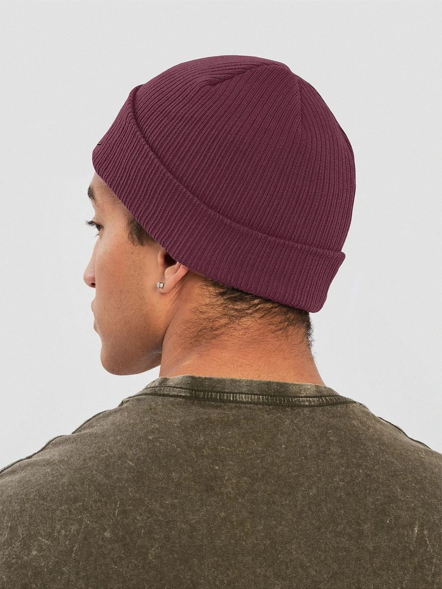 Vixen Beenie product image (5)