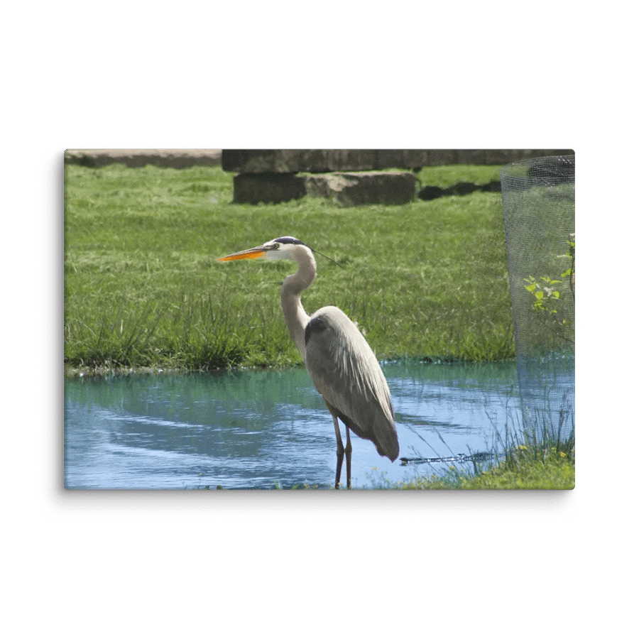 The Great Blue Heron product image (4)