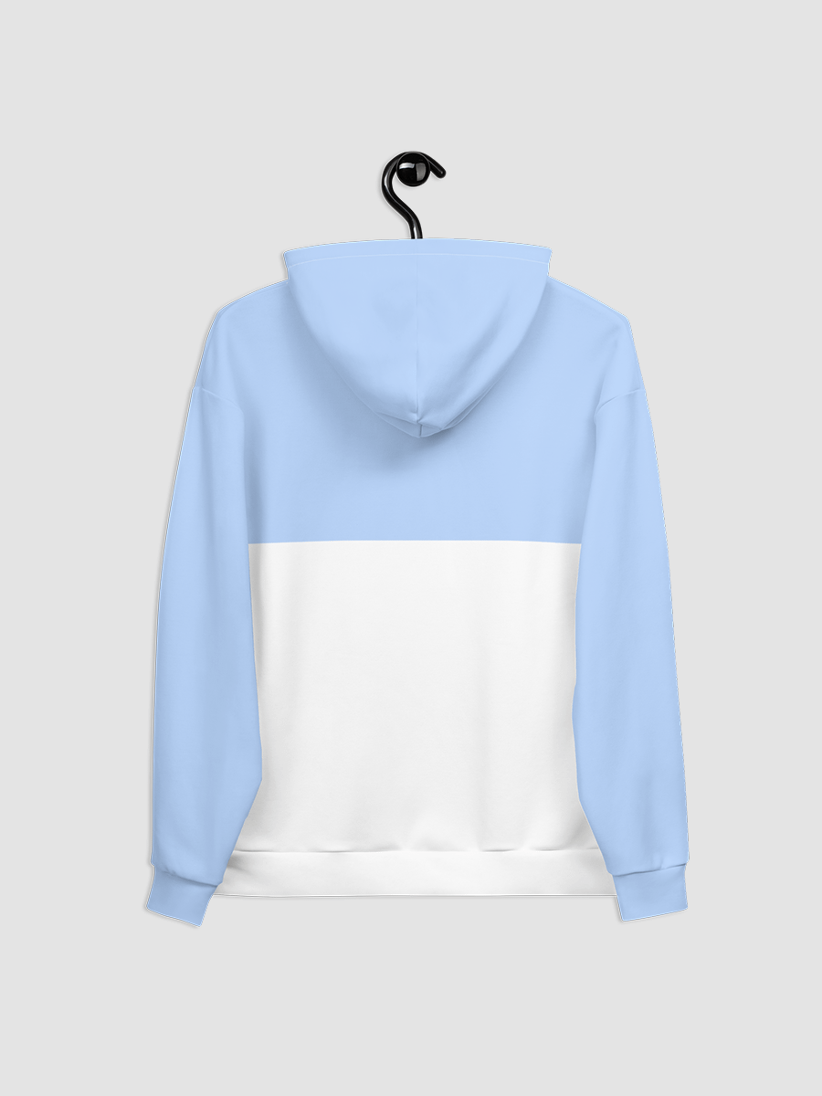 History Buffs Blue and White Hoodie product image (4)