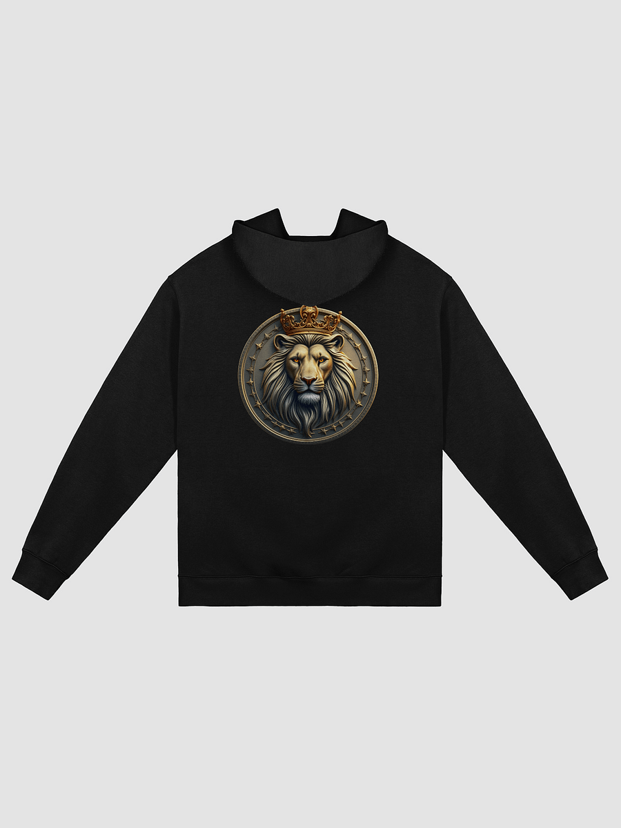 KINGS COIN LIMITED RUN Oversized Hoodie product image (2)