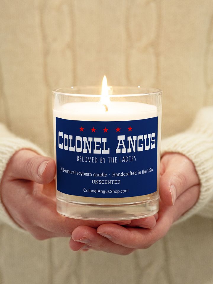 Unscented candle funny gift product image (2)