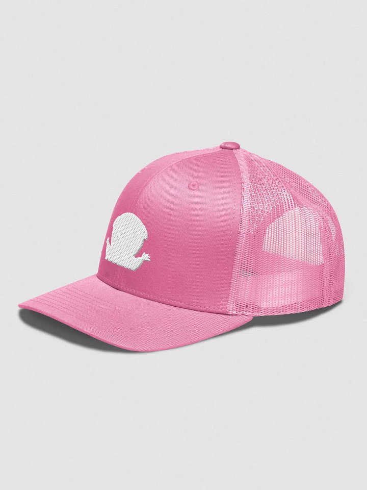FIRESNOUT PINK AND WHITE HAT product image (2)