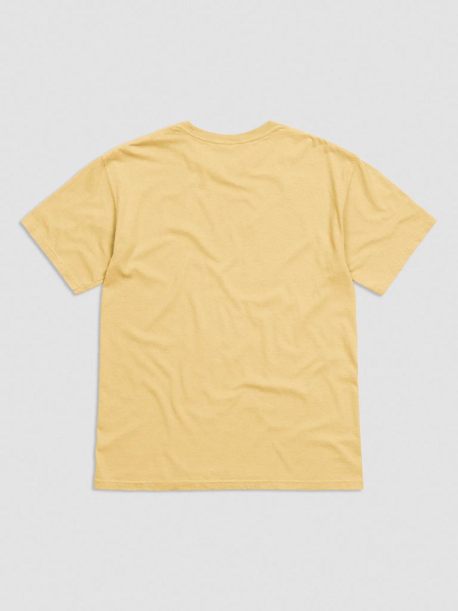Fairybara Embroidered Heavyweight T-Shirt product image (15)