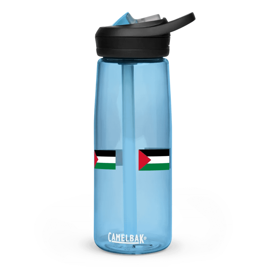 FREE PALESTINE sports bottle product image (1)