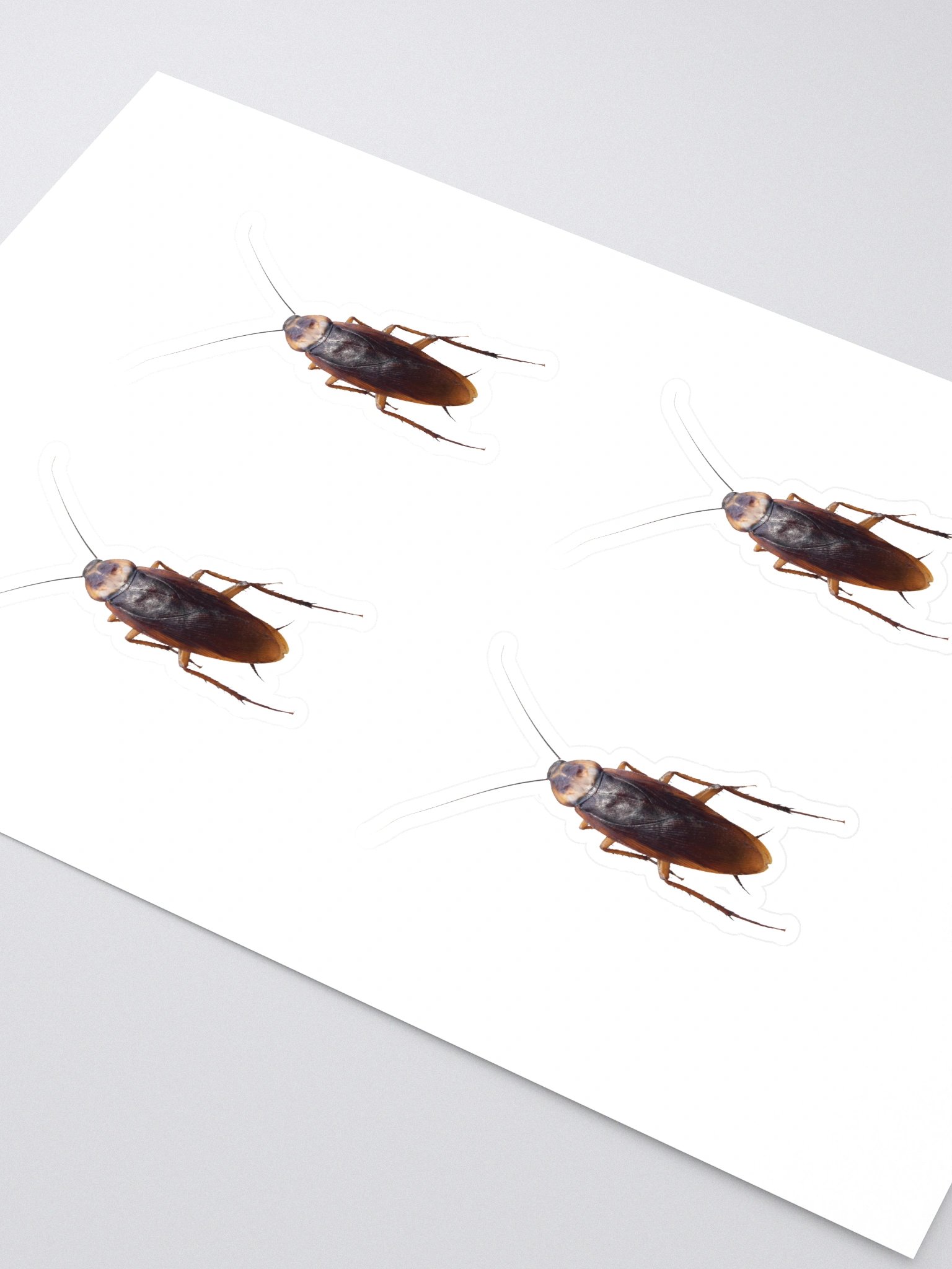 Roach Sticker product image (2)