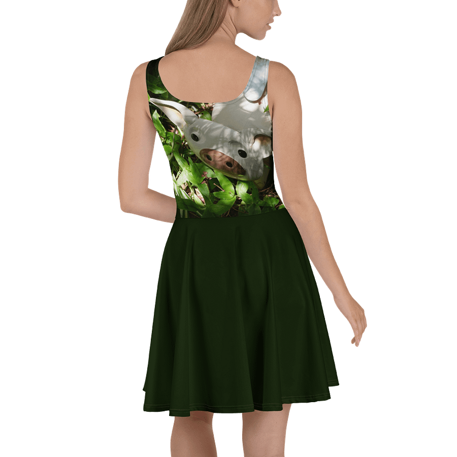 Flying Pig Dress product image (4)