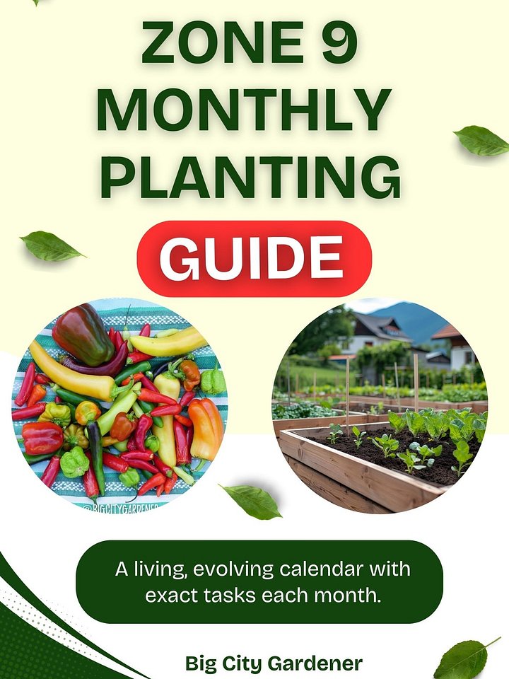 Zone 9 Seasonal Planting Guide product image (1)