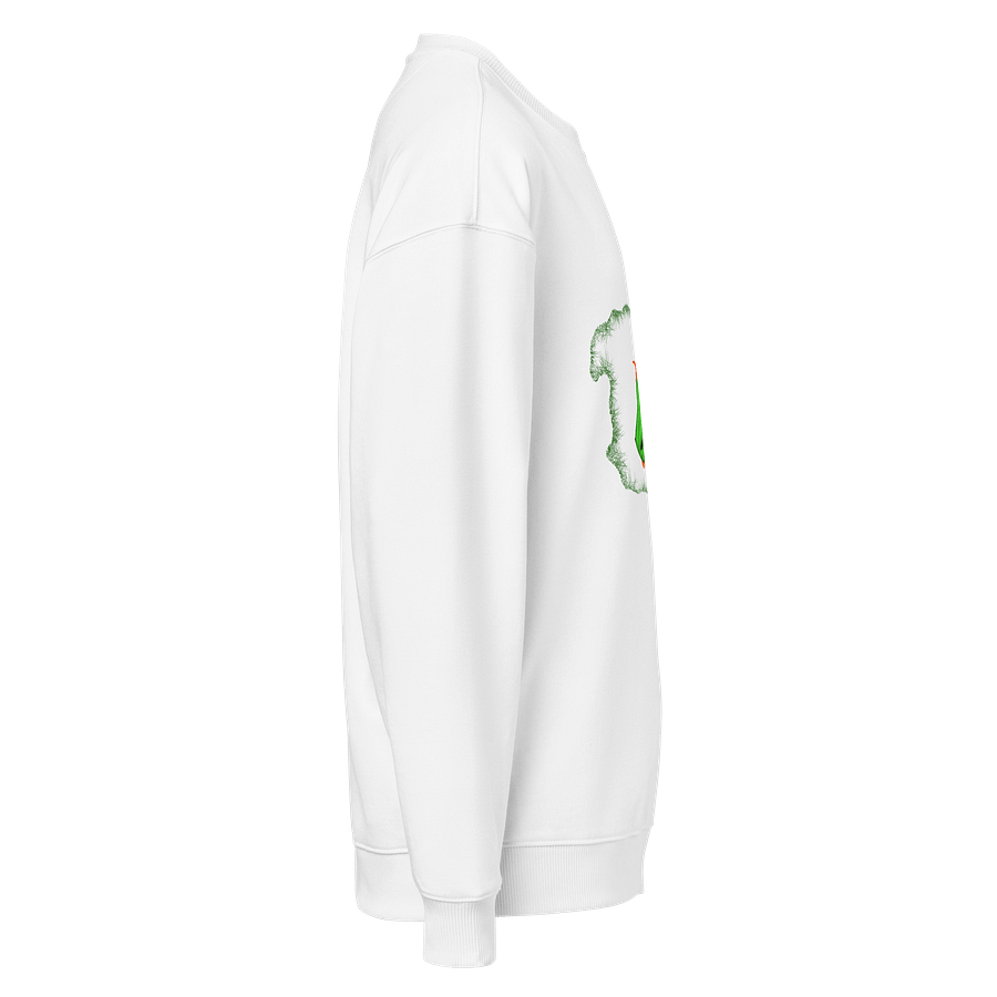 Dragon's Breath Organic Oversized Sweatshirt product image (4)