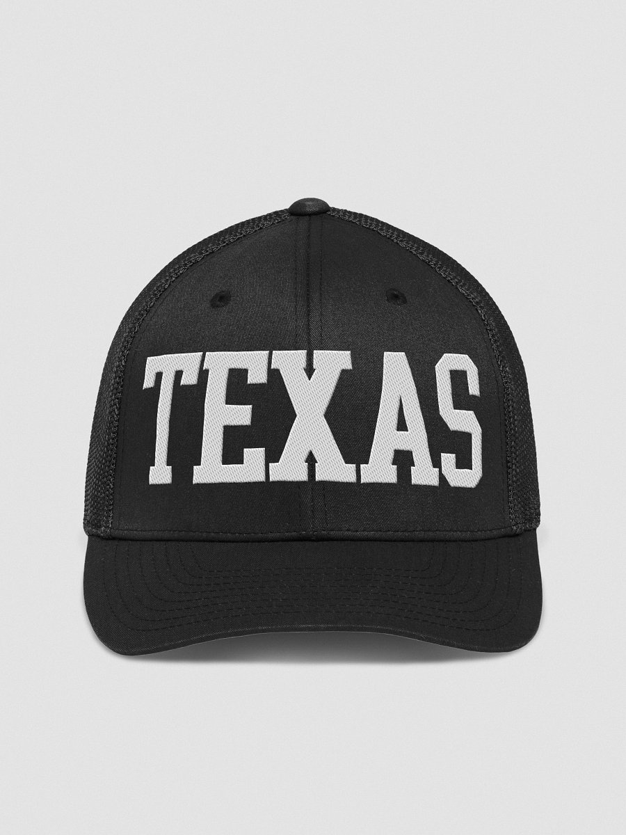 Texas State Mesh Trucker Hat product image (3)