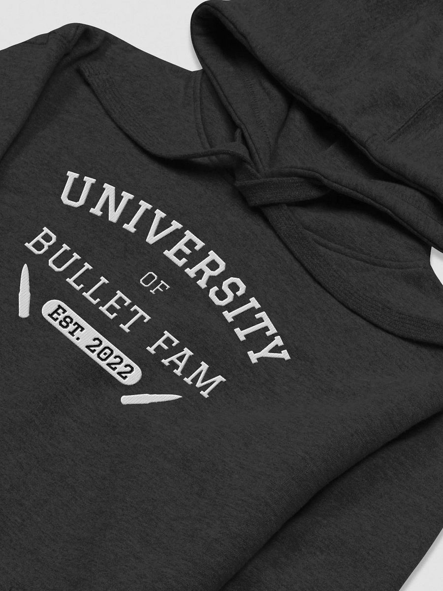UBF Hoodie- Embroidered product image (25)