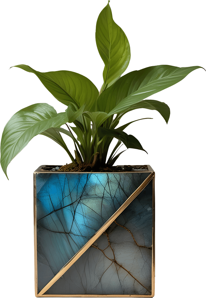 Stellar Luxe – Diagonal Labradorite & Bronze Planter PNG product image (1)